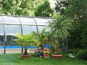 Bild:
