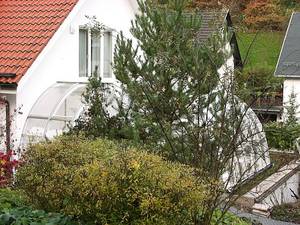 Bild: